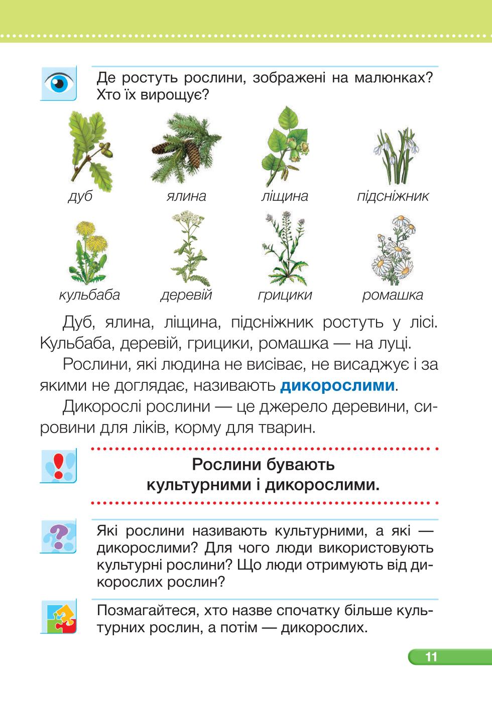 Мініатюра 11