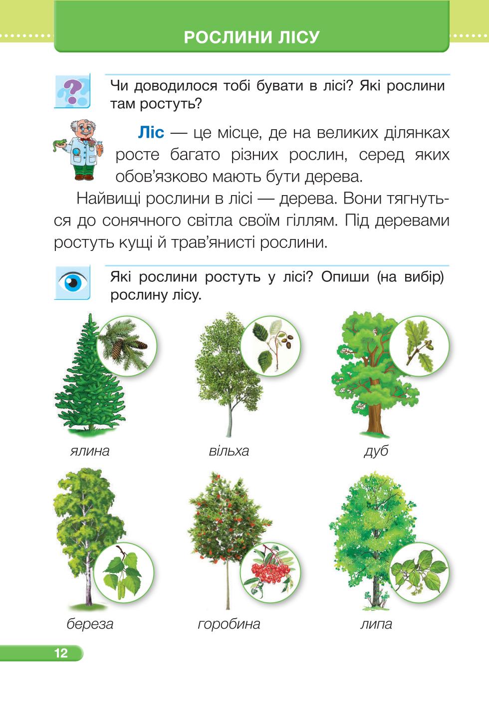 Мініатюра 12