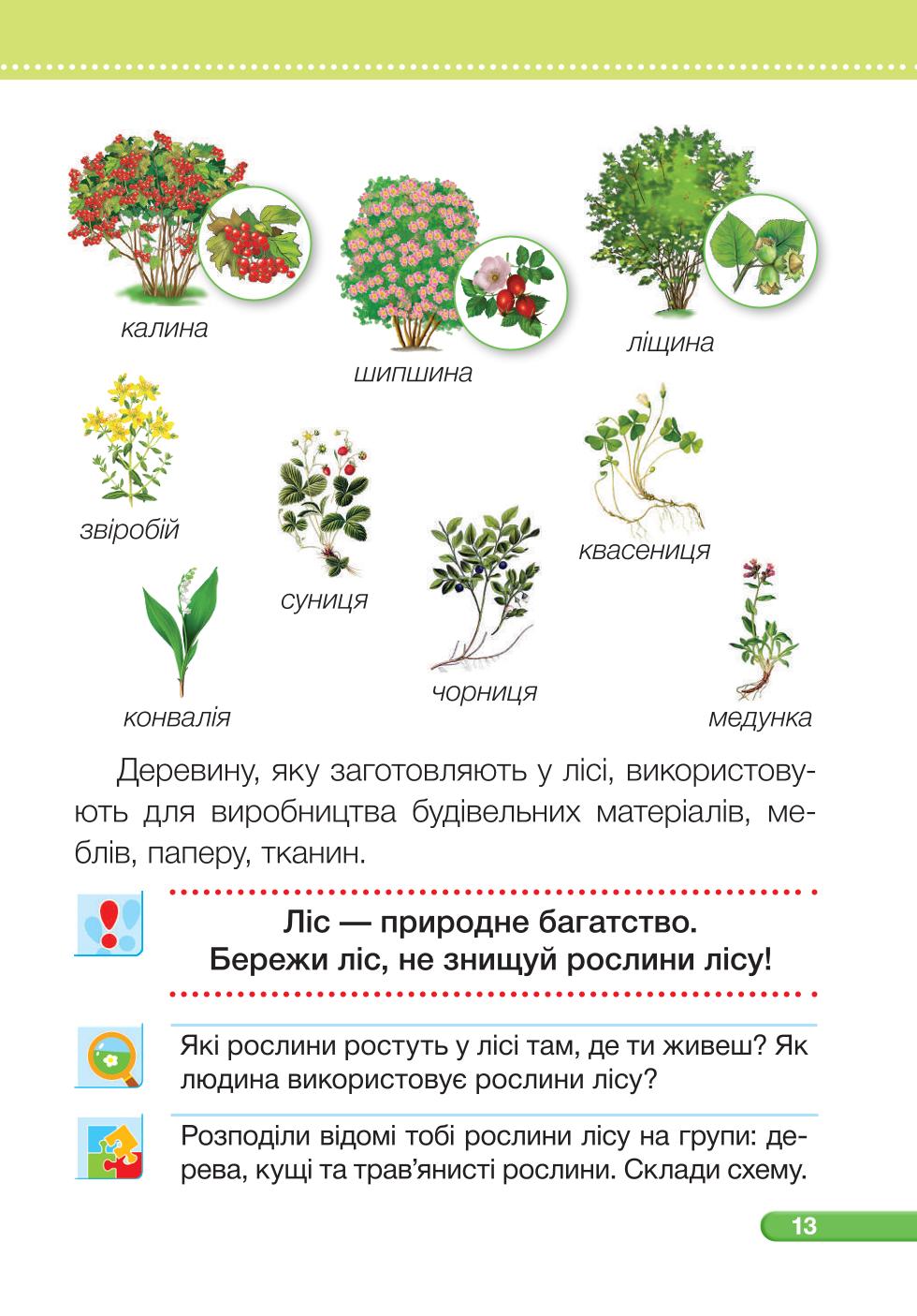Мініатюра 13