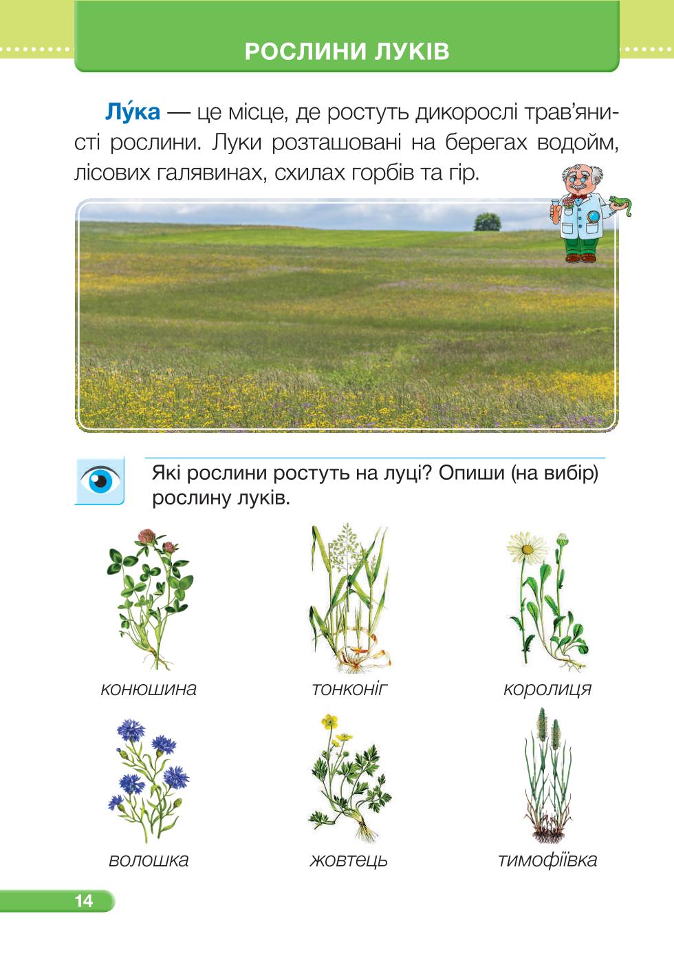 Мініатюра 14