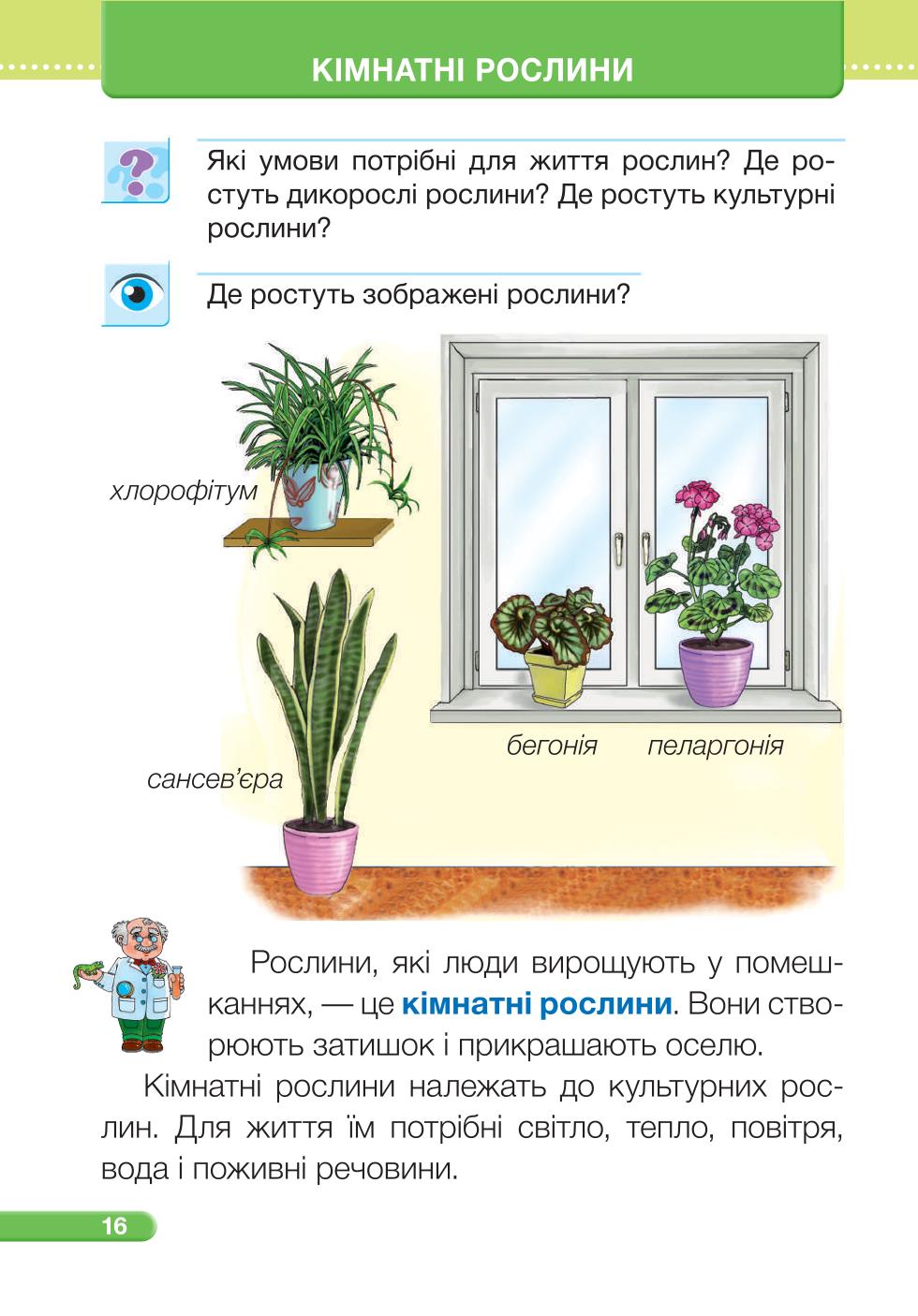 Мініатюра 16