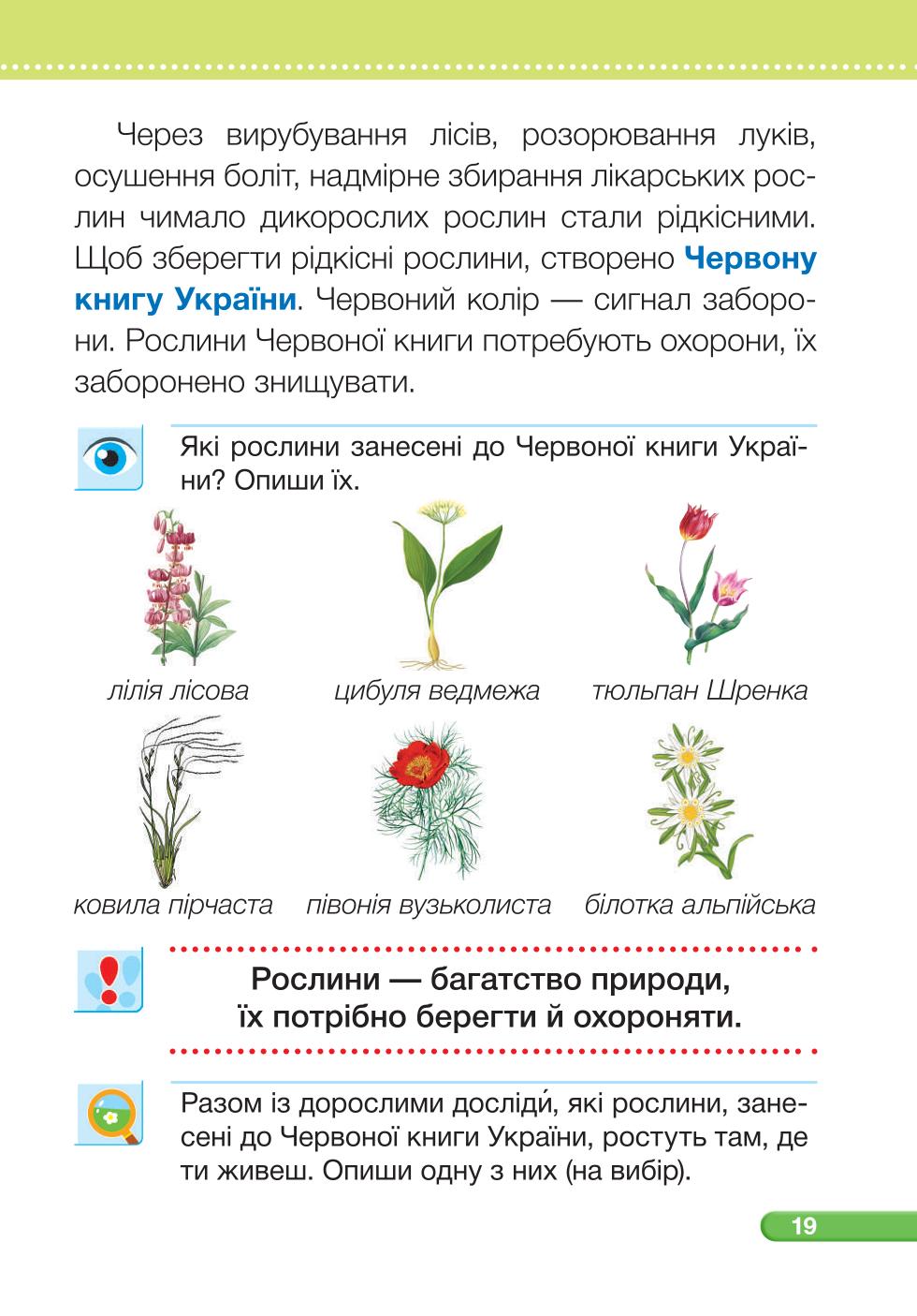 Мініатюра 19