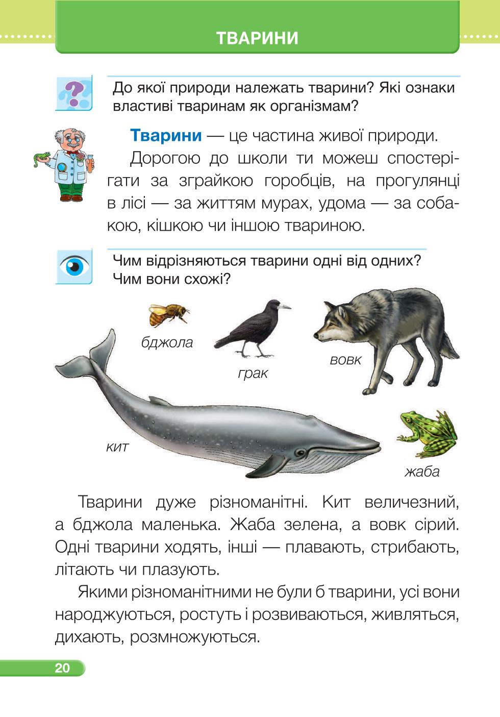 Мініатюра 20