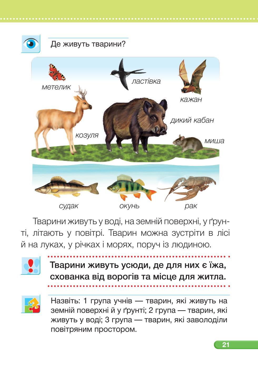 Мініатюра 21