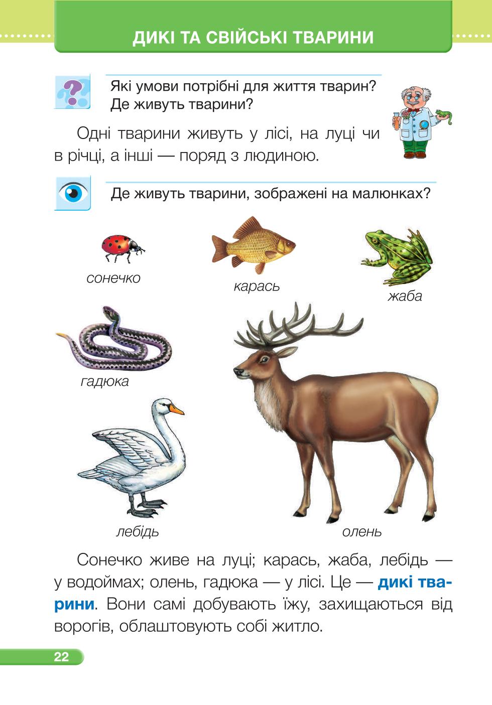 Мініатюра 22