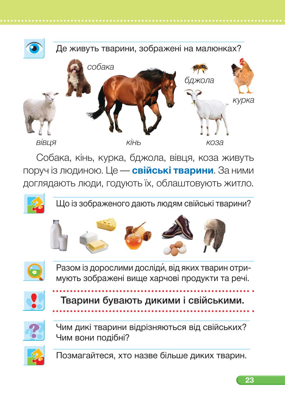 Мініатюра 23