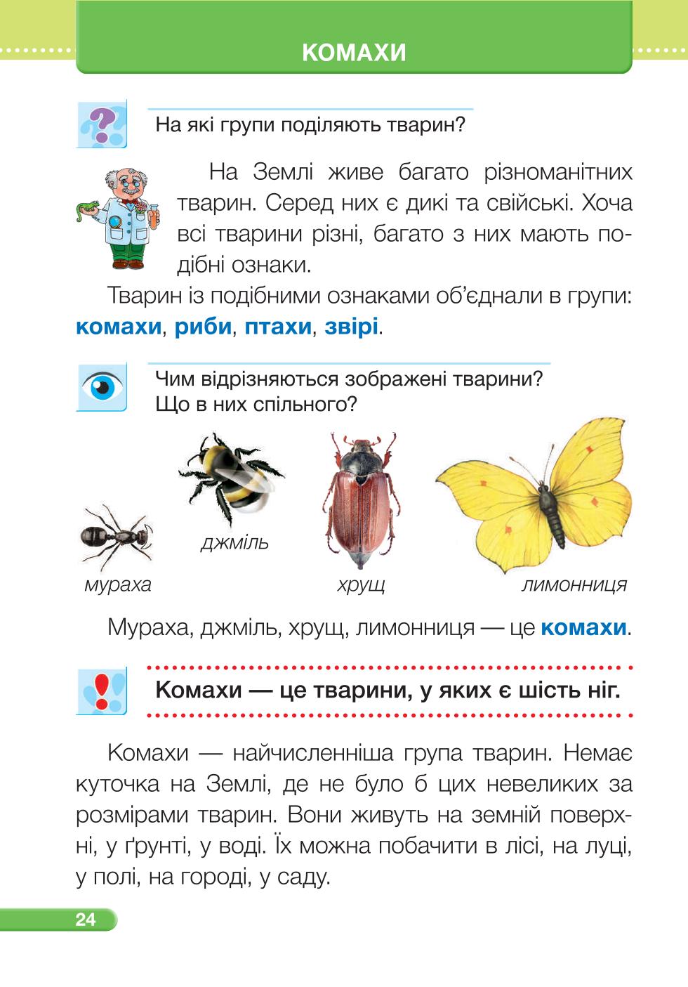 Мініатюра 24