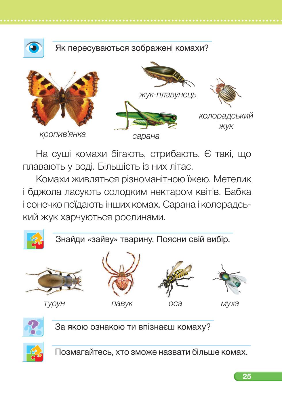 Мініатюра 25