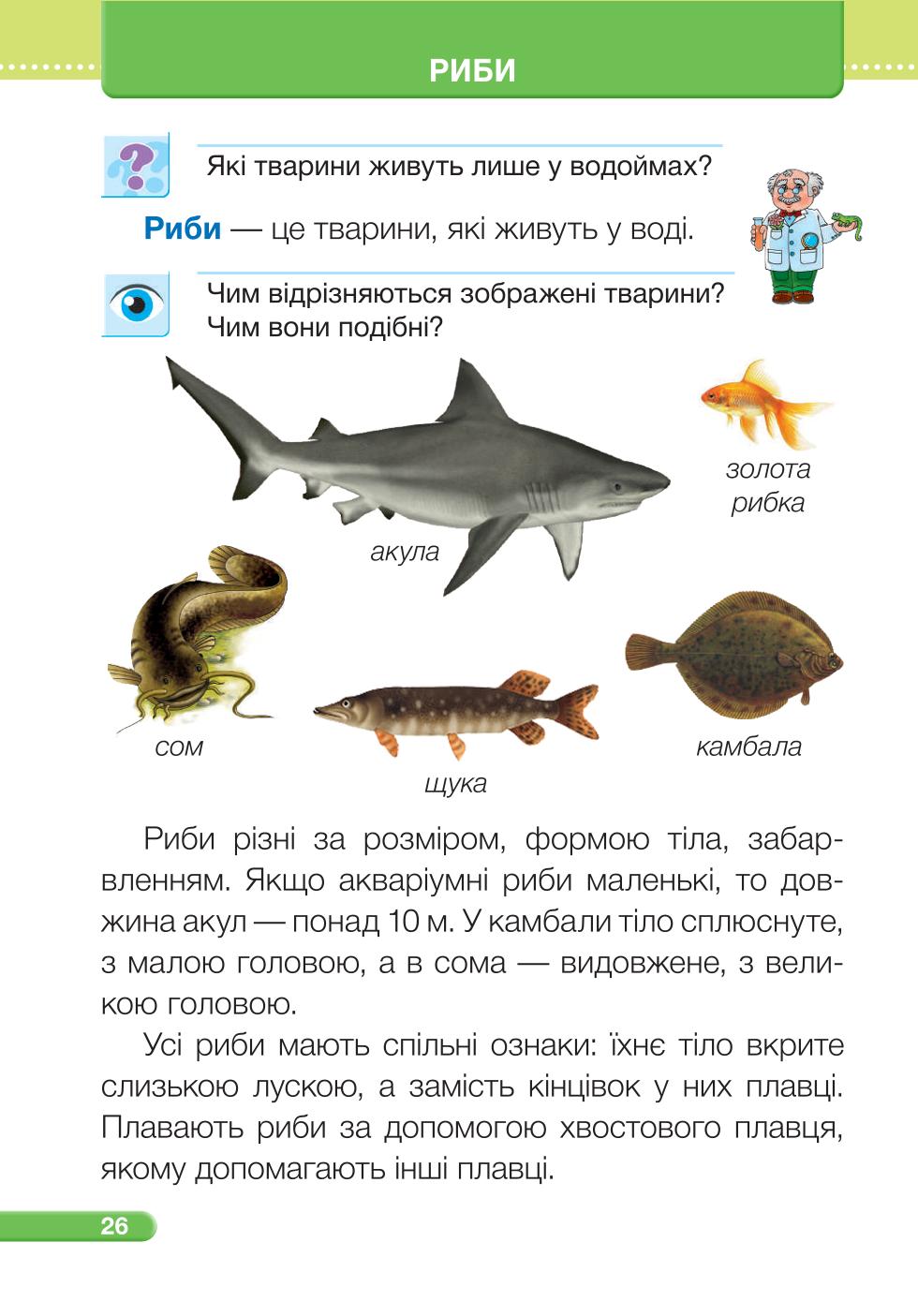 Мініатюра 26