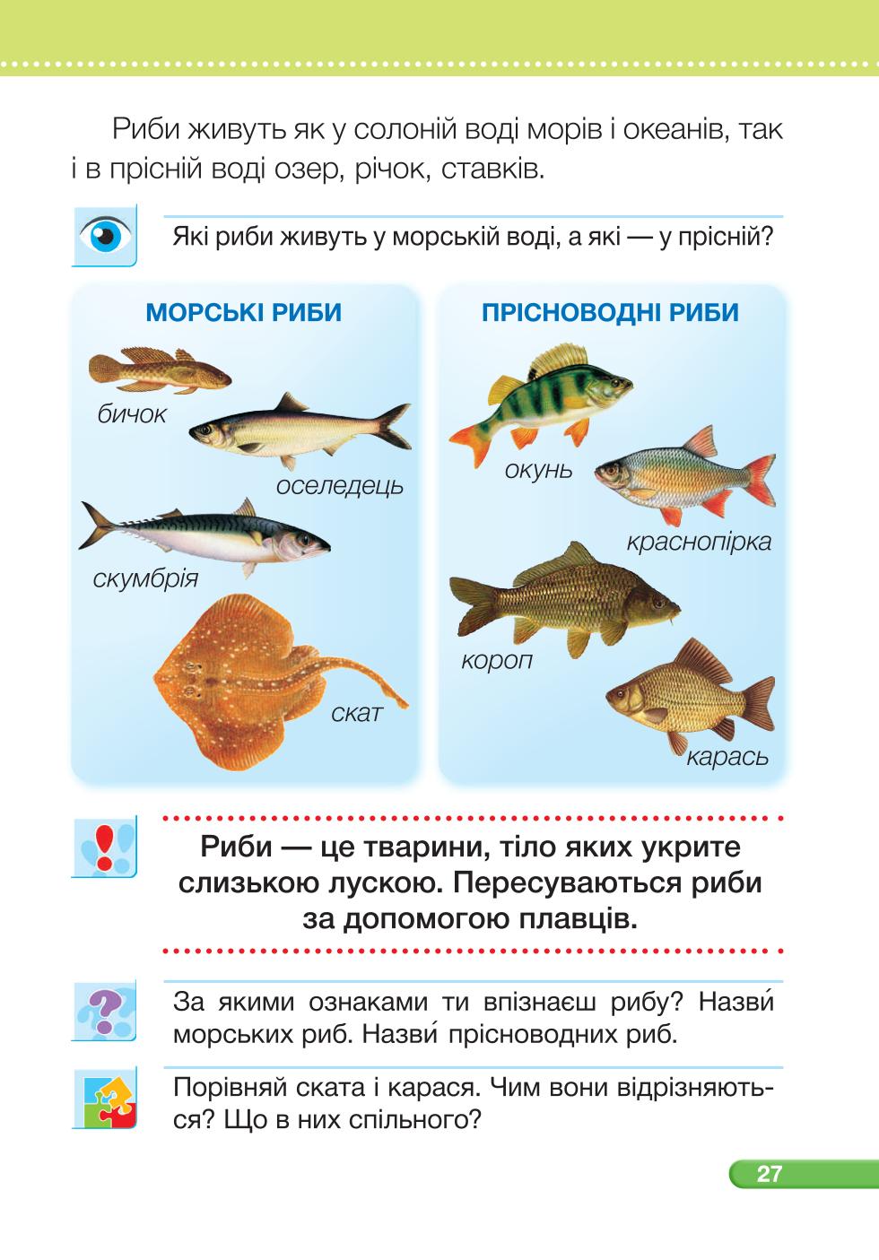 Мініатюра 27