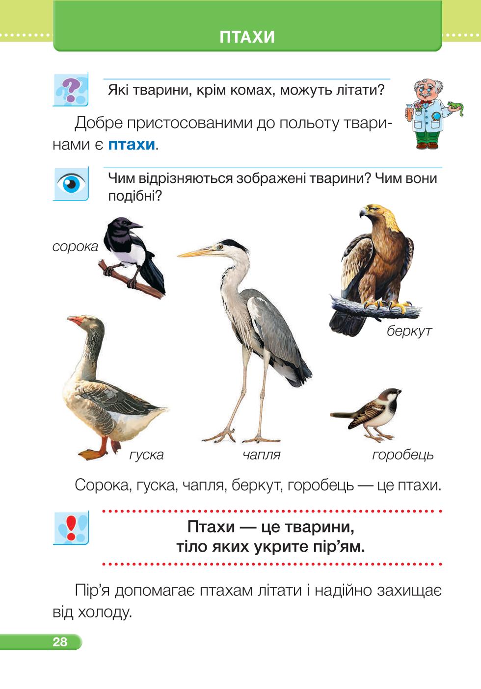 Мініатюра 28