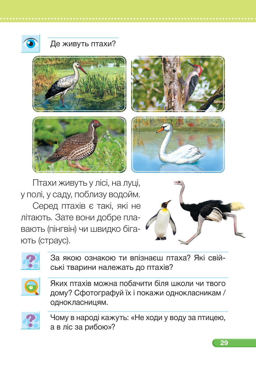 Мініатюра 29