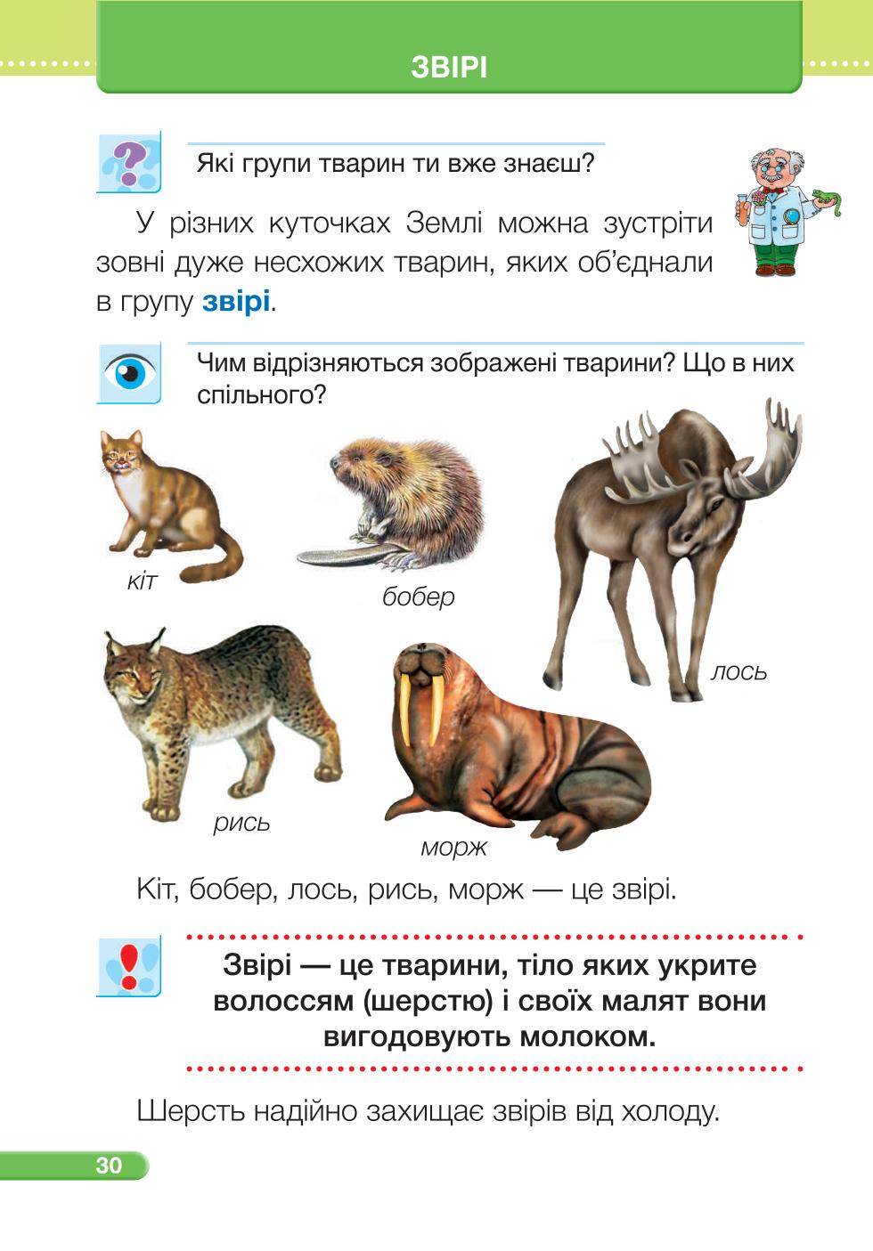 Мініатюра 30