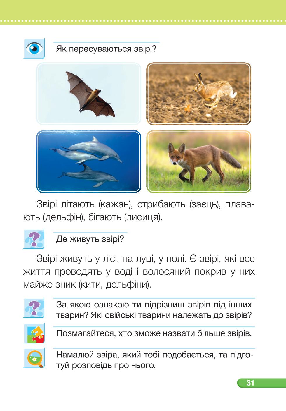 Мініатюра 31