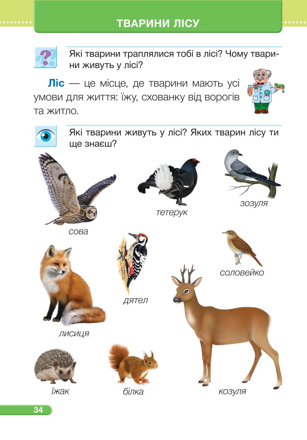 Мініатюра 34