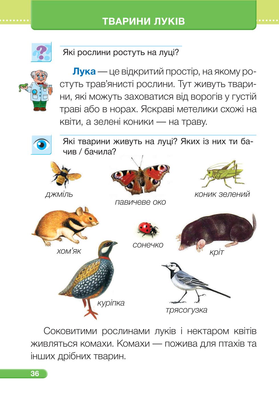 Мініатюра 36