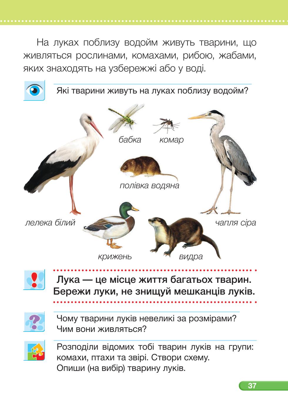 Мініатюра 37