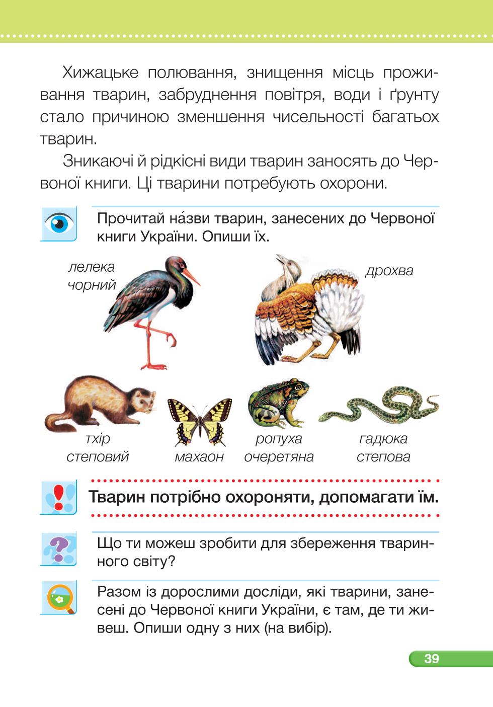 Мініатюра 39