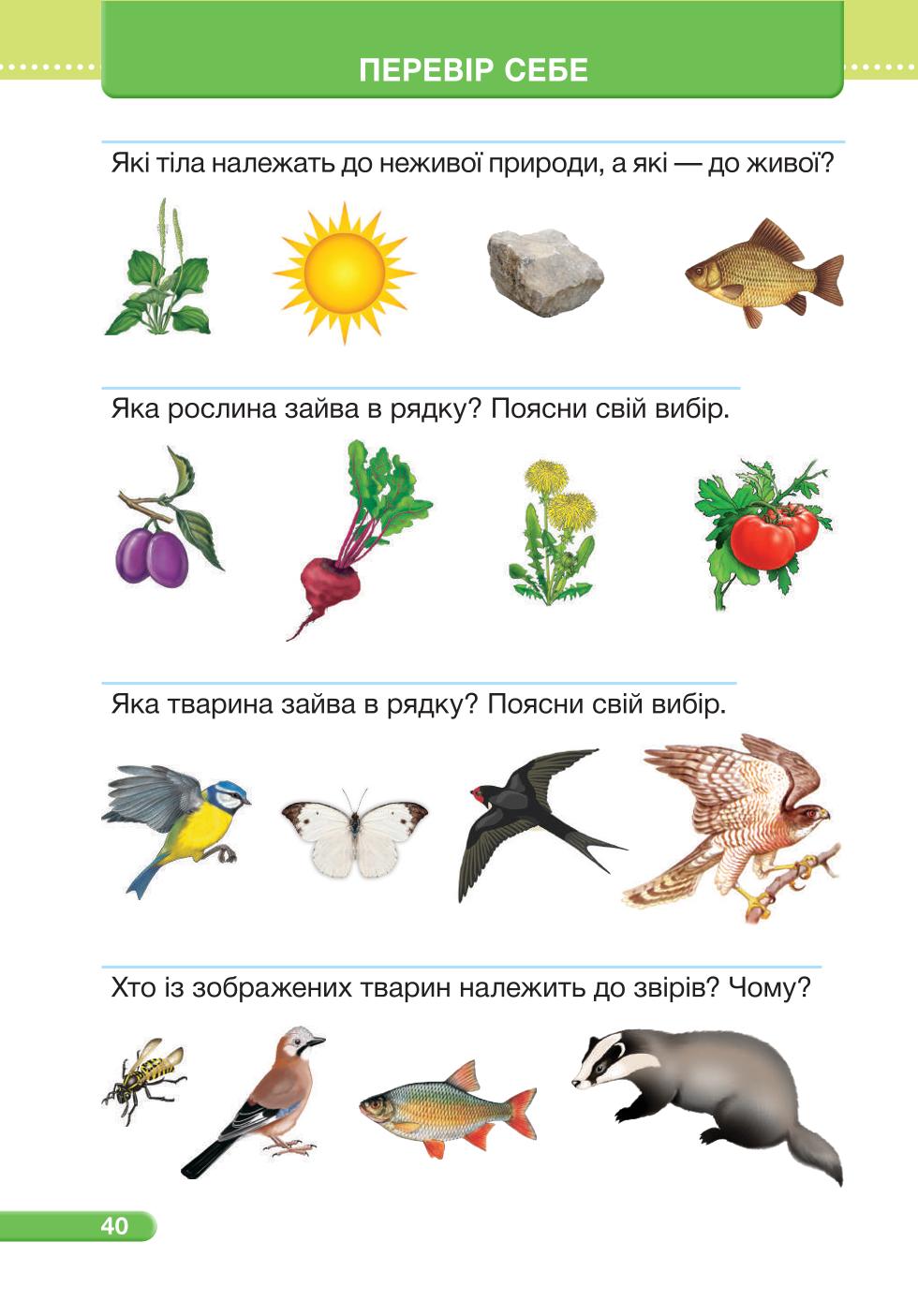 Мініатюра 40