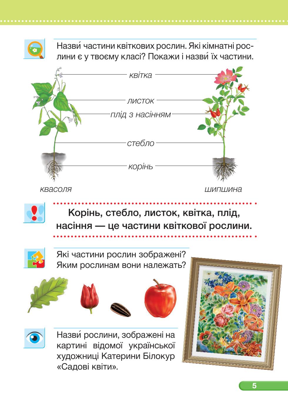 Мініатюра 5
