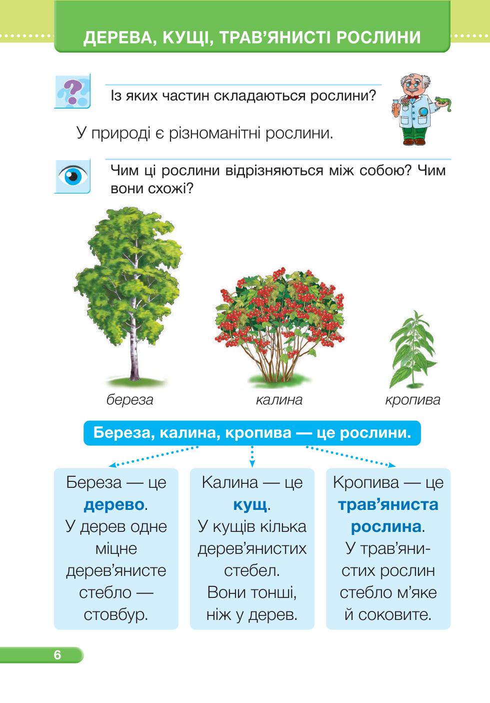 Мініатюра 6