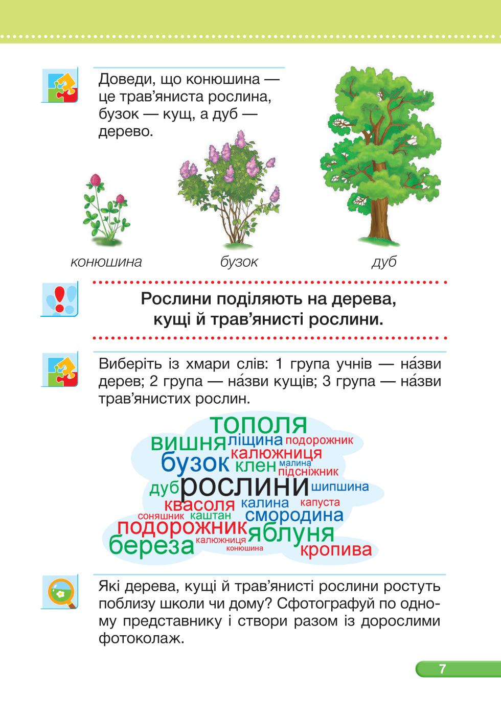 Мініатюра 7