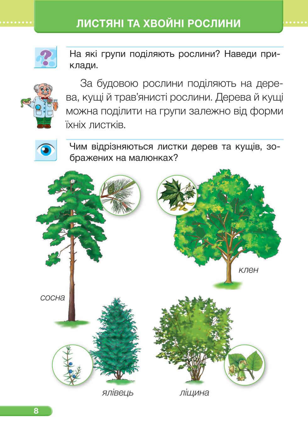 Мініатюра 8