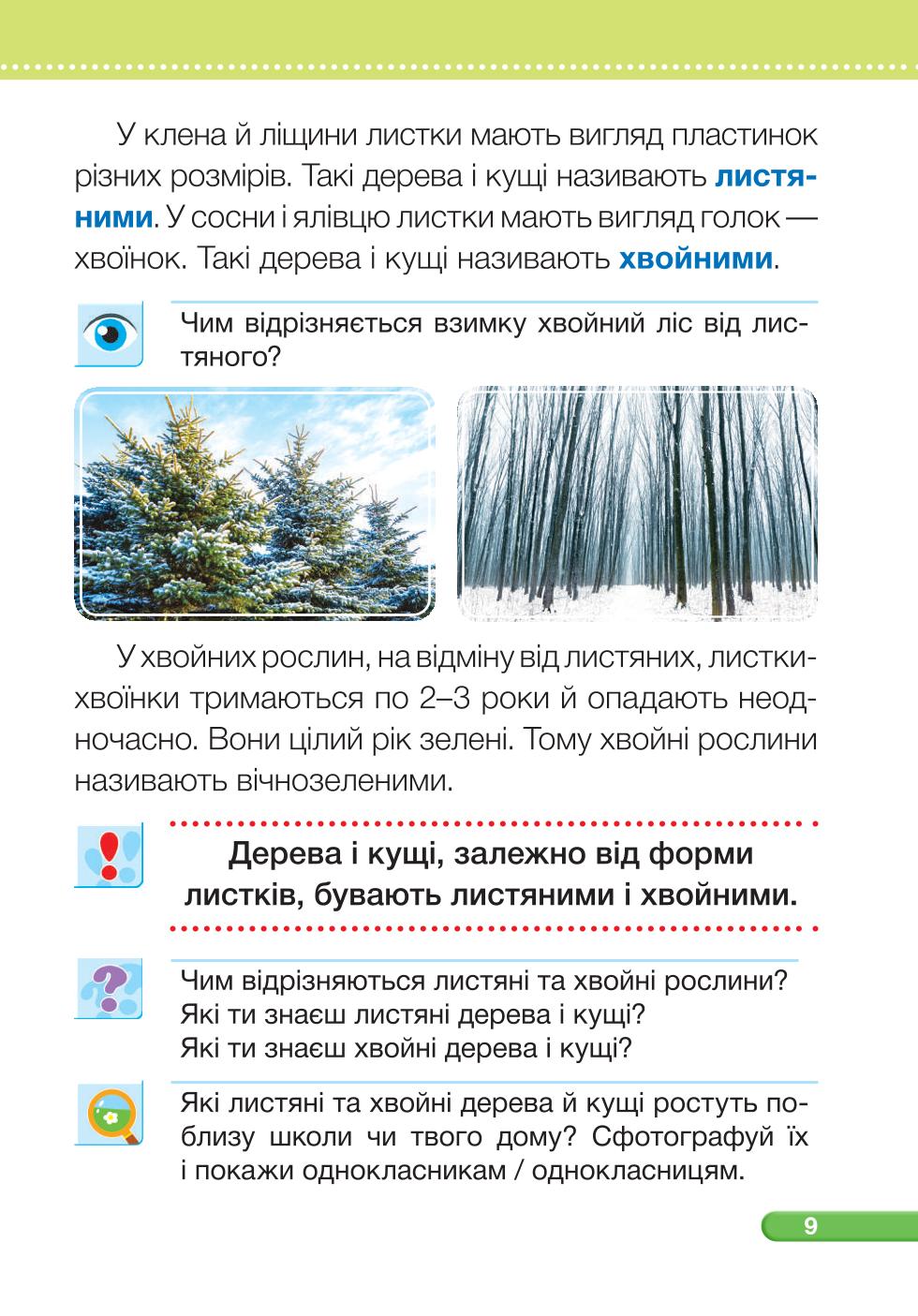 Мініатюра 9
