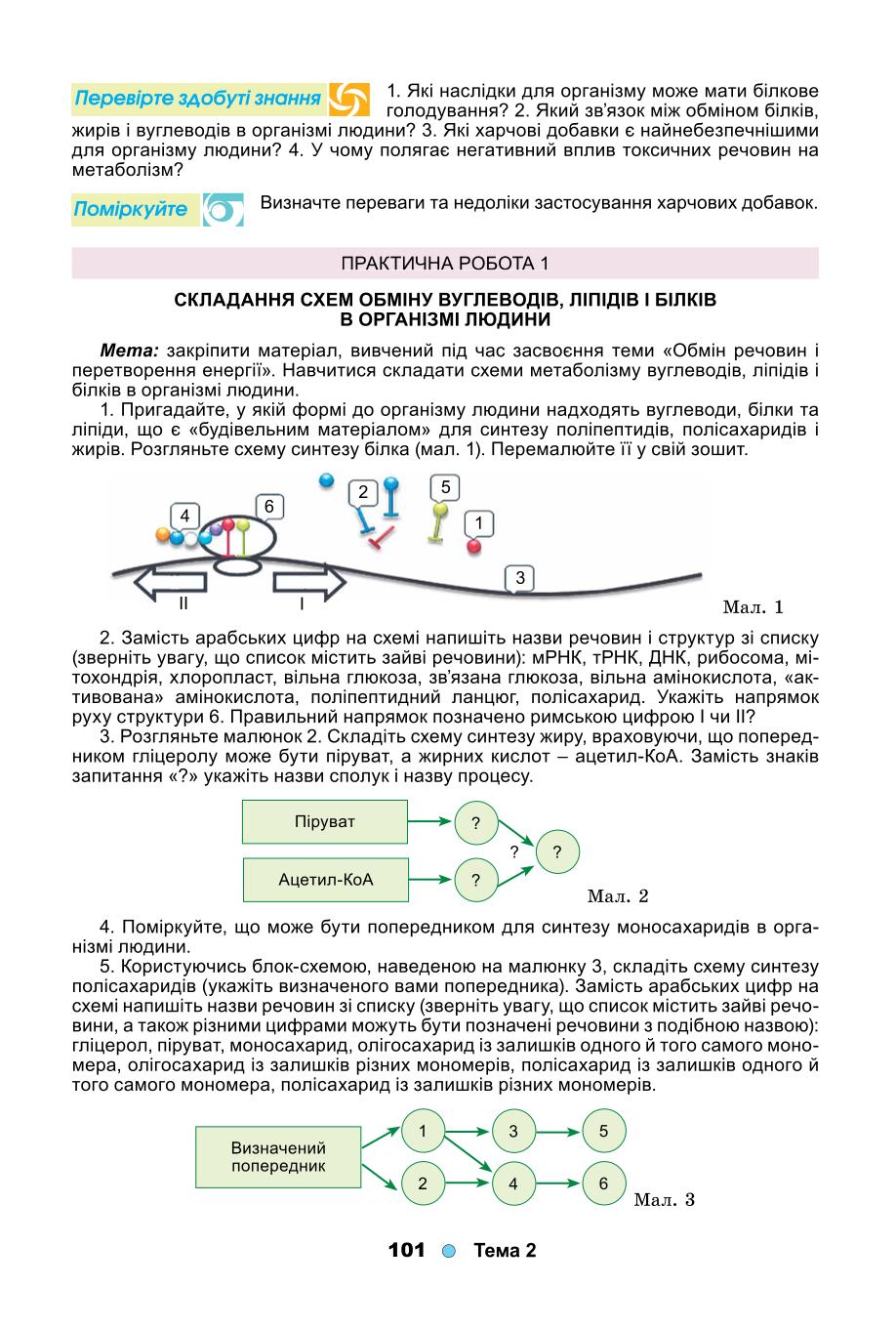 Мініатюра 101