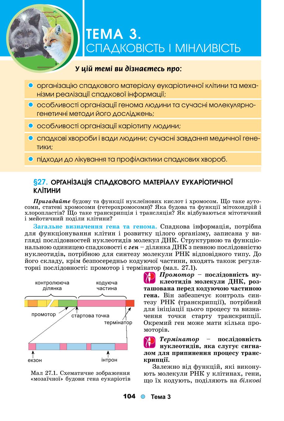 Мініатюра 104