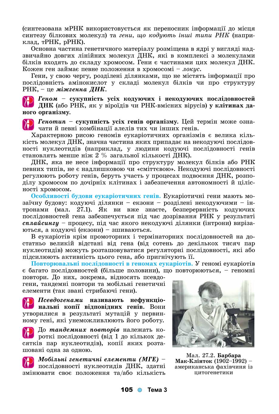 Мініатюра 105