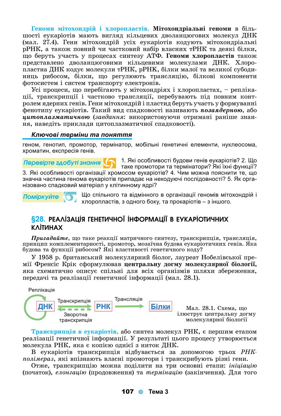 Мініатюра 107