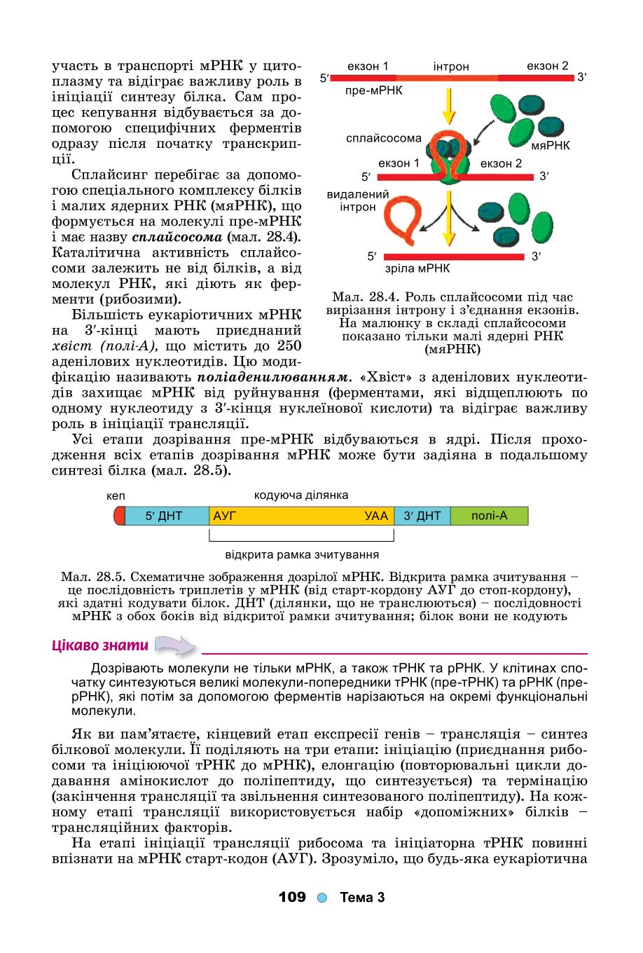 Мініатюра 109