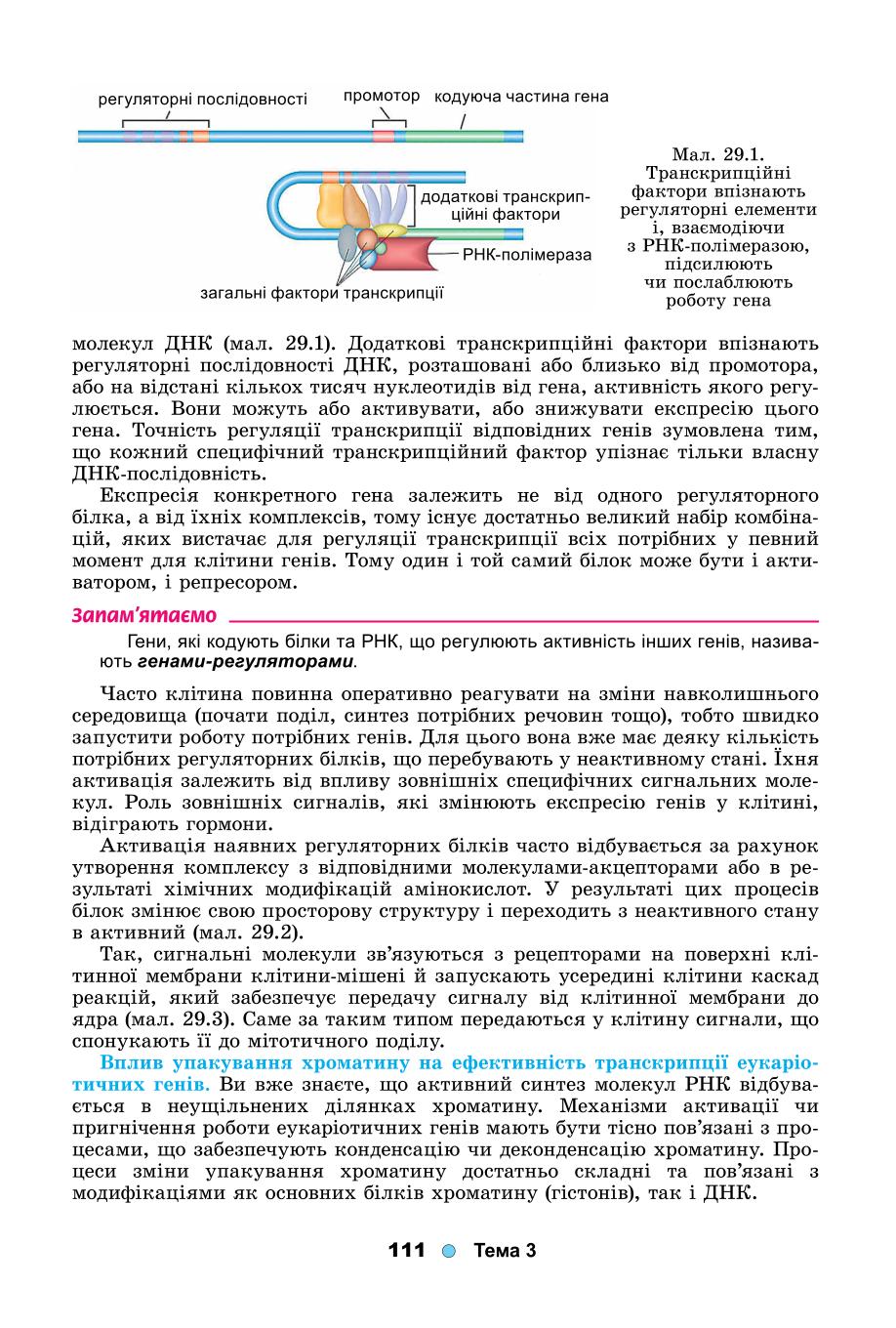 Мініатюра 111