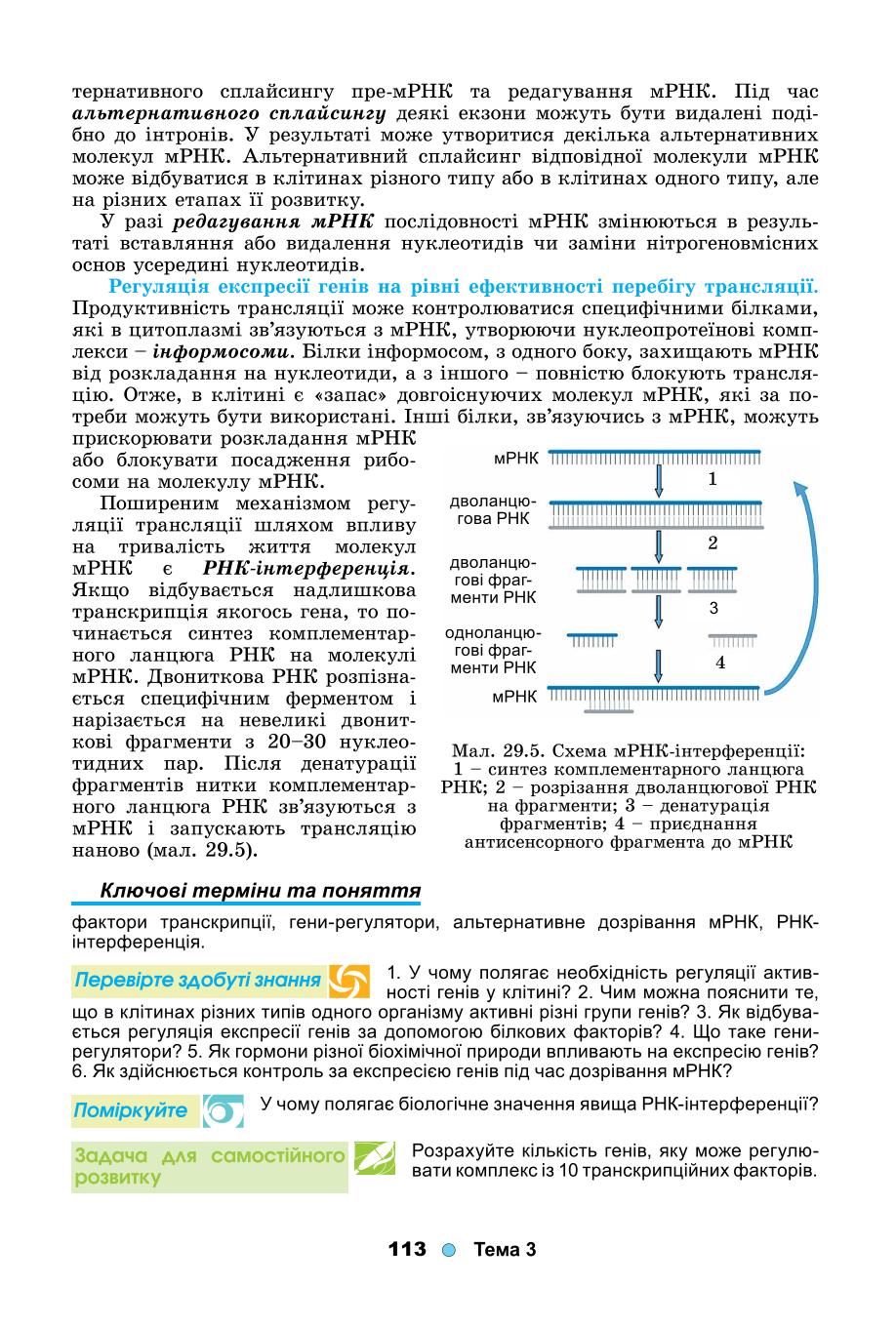 Мініатюра 113