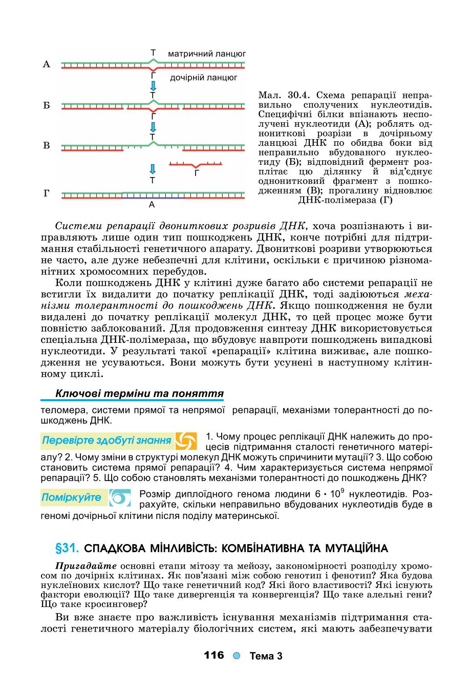 Мініатюра 116