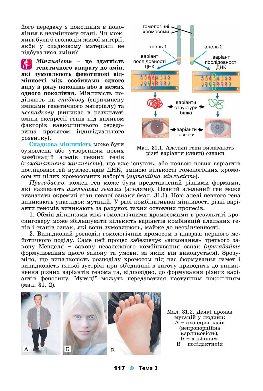 Мініатюра 117