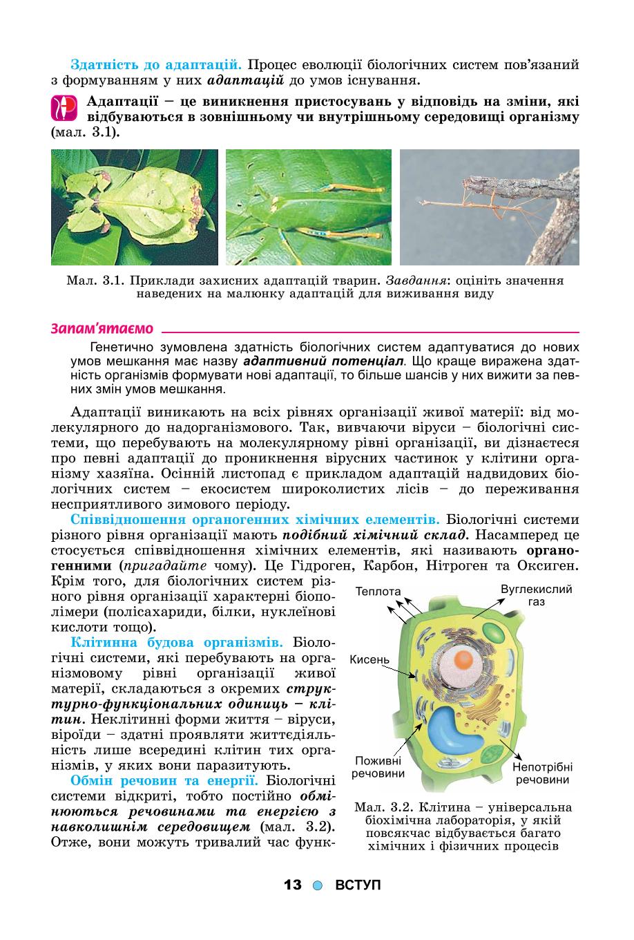 Мініатюра 13