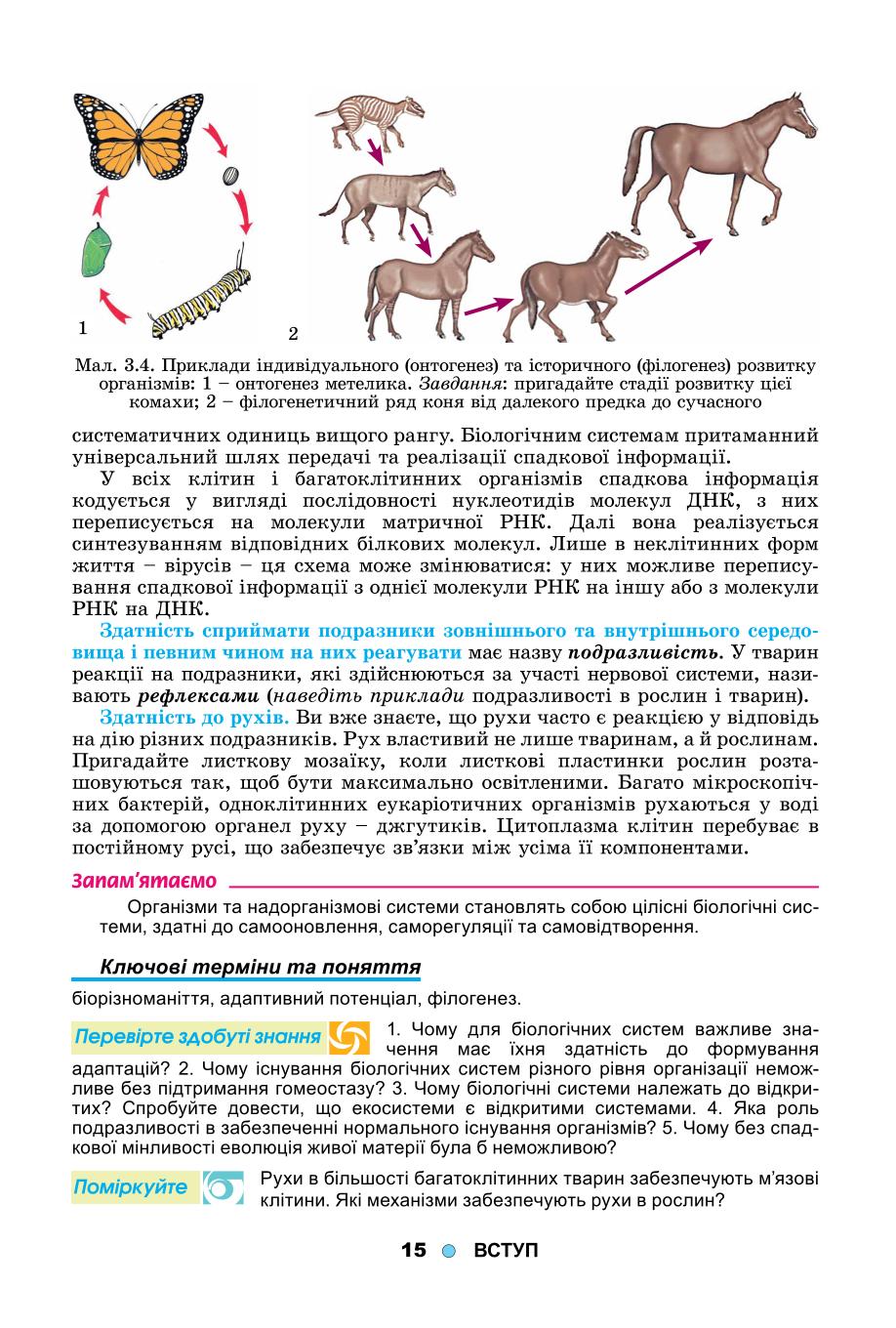 Мініатюра 15
