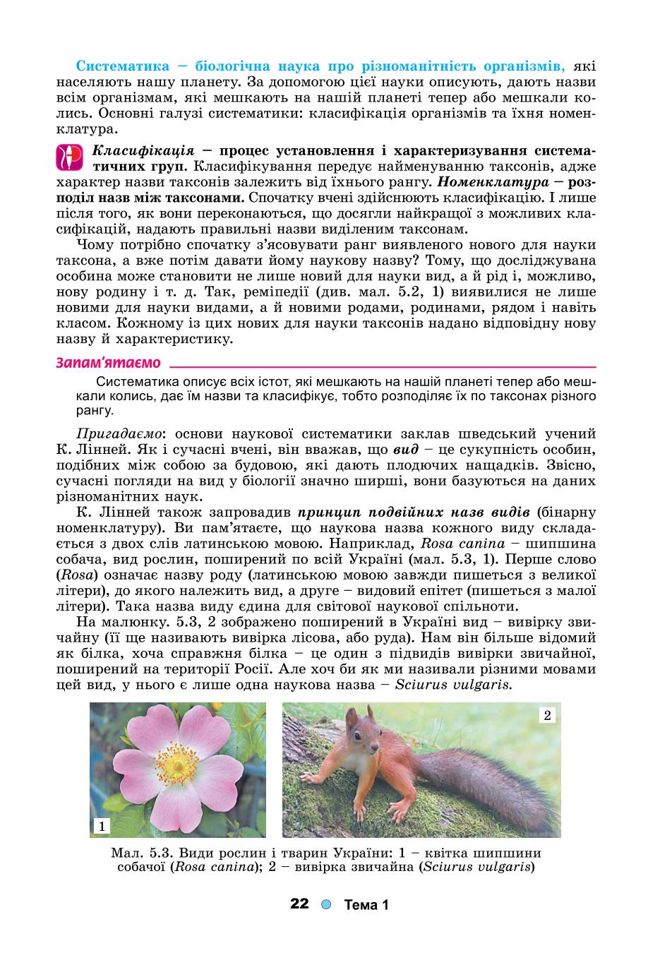 Мініатюра 22