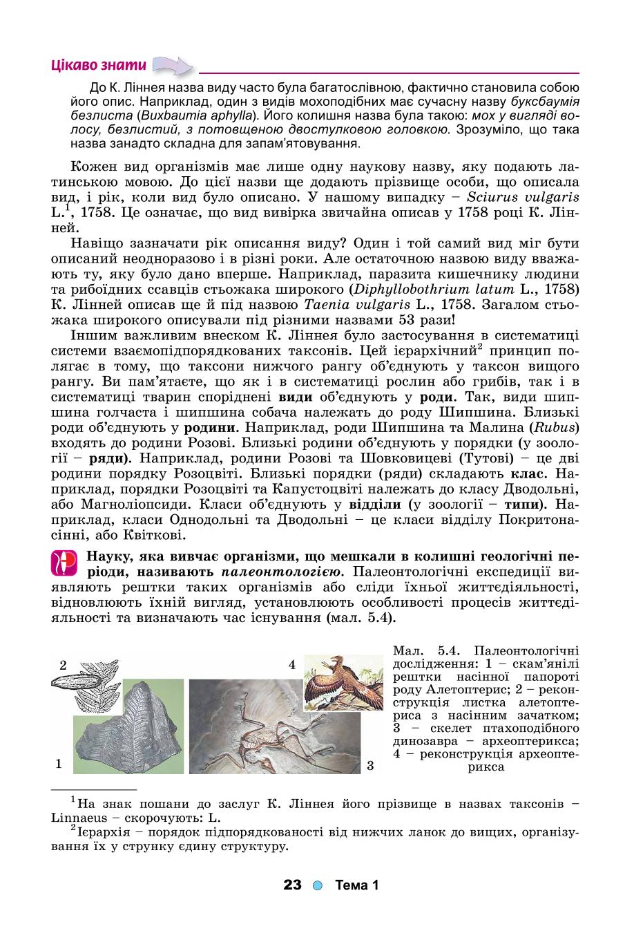 Мініатюра 23