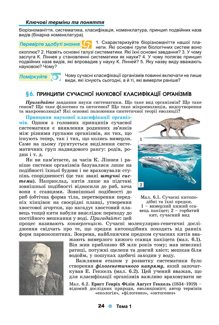 Мініатюра 24