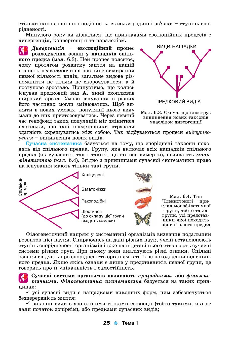 Мініатюра 25