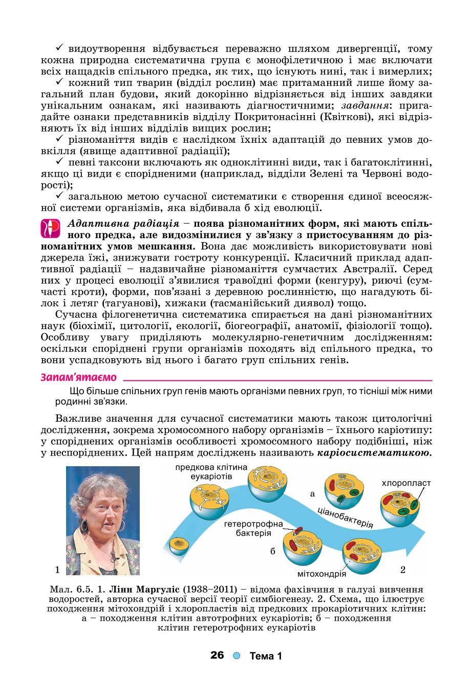 Мініатюра 26