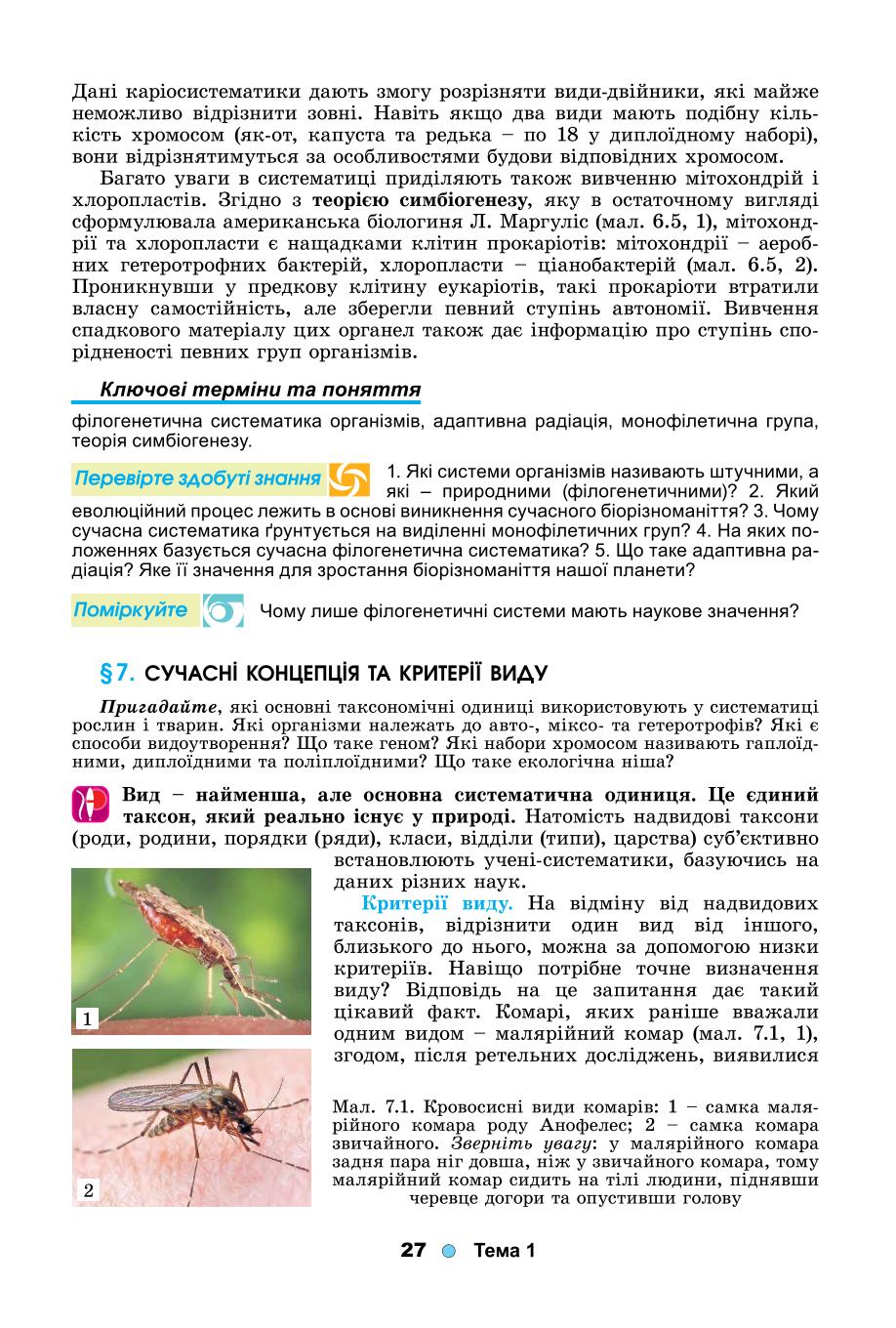 Мініатюра 27