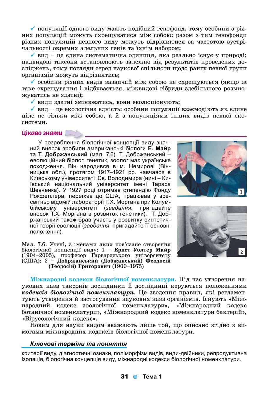 Мініатюра 31
