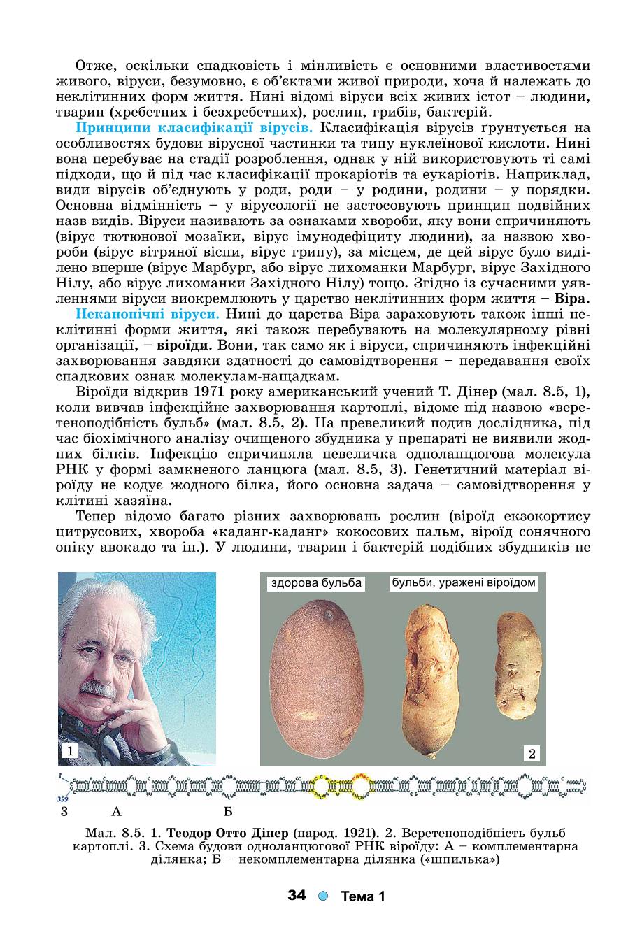 Мініатюра 34
