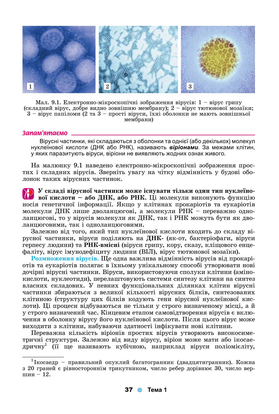 Мініатюра 37