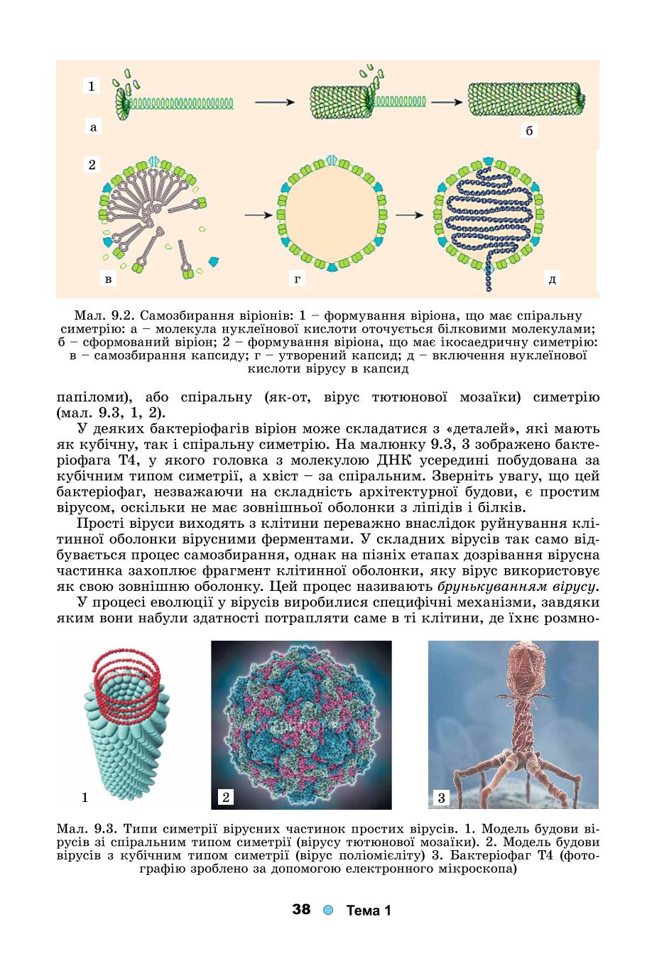 Мініатюра 38
