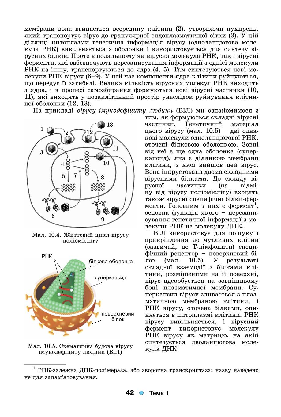 Мініатюра 42